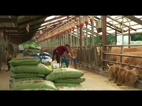 BIFF2023 Trailer l 지난 여름  Last Summer l 한국영화의 오늘 - 비전