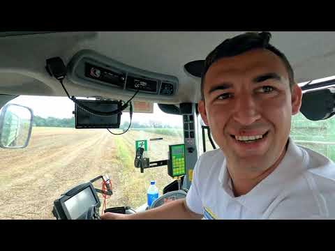 Koszenie kukurydzy z firmą Agro-Mark sieczkarnią New Holland FR650