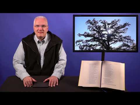 ATEMPAUSE (Sonntag,  21. Oktober 2018) „Verzweifelt beten“ - Psalm 38, 1-23