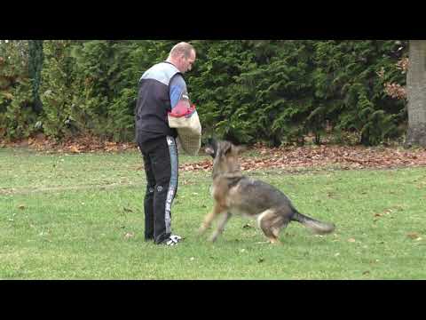 Sichtung LG 02 Schutzdienst Jette vom Spektefeld