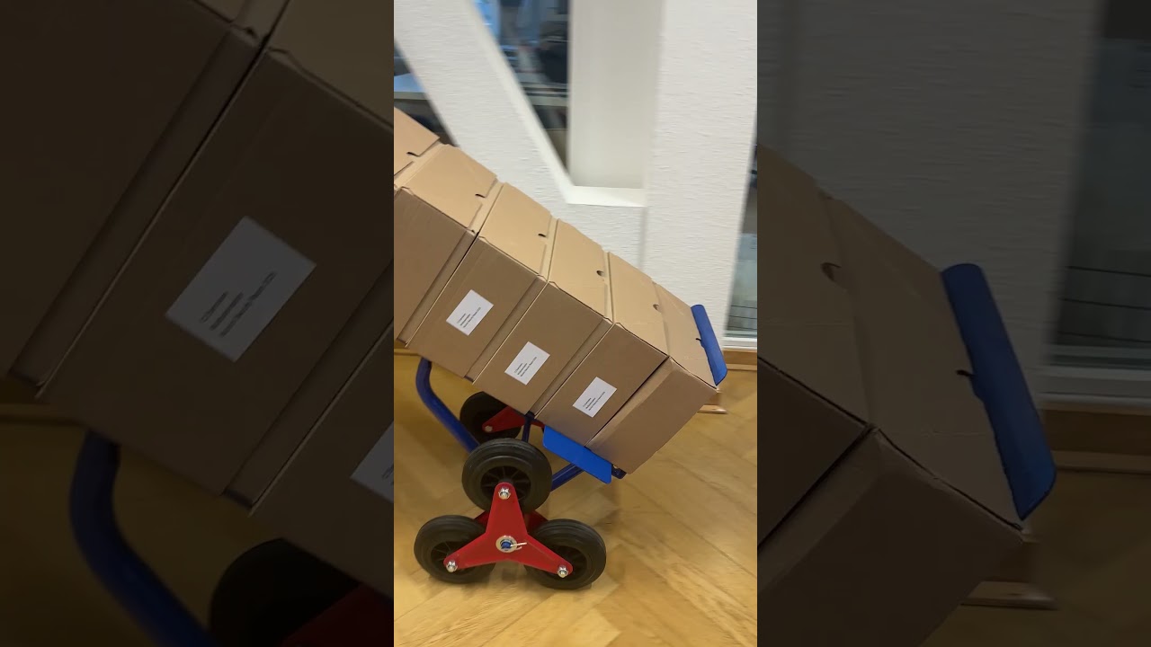 Munich Security Report 2025: Multipolarization