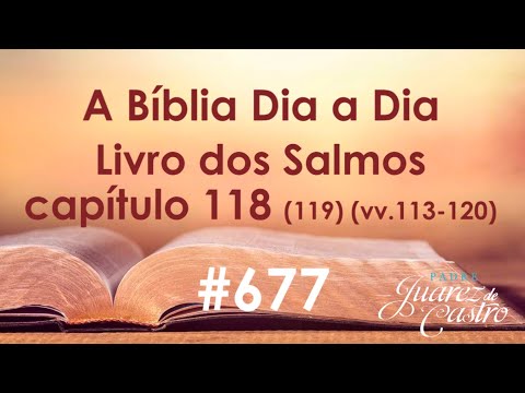 Curso Bíblico 677 - Livro dos Salmos 118 (119) (vv. 113-120) - Elogio a Lei Divina - Samec