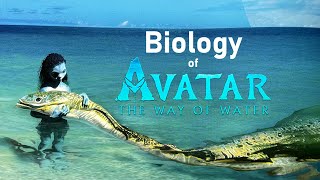 The Biology of Avatar 2