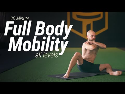 20 Minute Full Body Mobility Workout | All Levels, No Talking