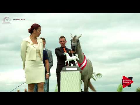 2nd PLACE N.10 SHEIKHA AL JUMAN - Chantilly 2017 WC - Yearling Fillies Championship (Class 11)