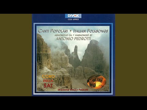 Stelutis alpinis (Arr. A. Pedrotti)