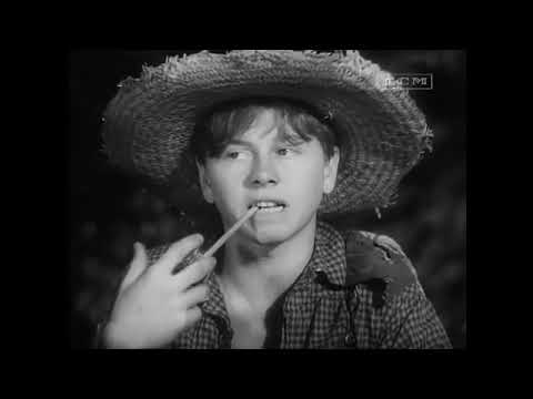 The Adventures of Huckleberry Finn