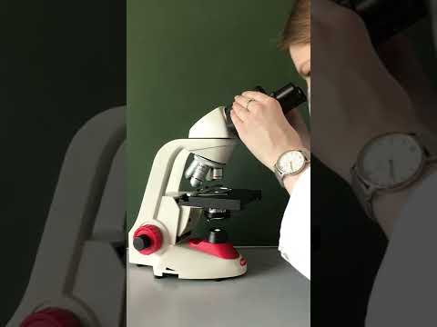 Wie wird ein binokulares Lichtmikroskop fachgerecht bedient? - Eine Schritt-für-Schritt-Anleitung