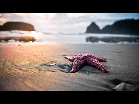 Hoyaa pres. Lunar System - Cold Wave (Suncatcher Remix) (ASOT 516)