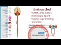 Bethanechol and pilocarpine: Direct acting cholinergic agonists