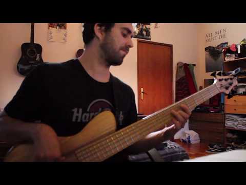 Octavision - Three Lives (bass cover)