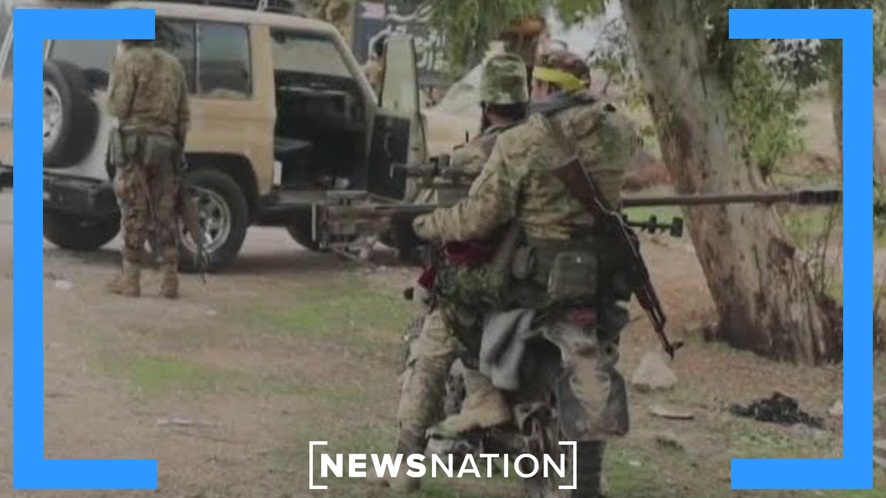 Rebel group topples Assad regime in Syria | Morning in America