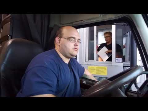 what is chicken meal in dog food