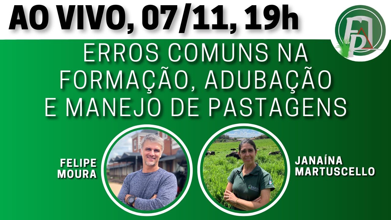 Erros comuns na formação, adubação e manejo de pastagens