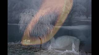 Harper Simon - Chinese Jade