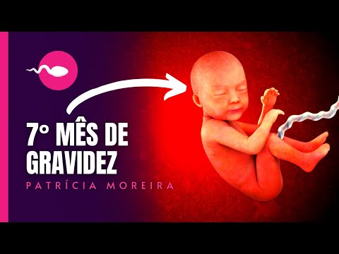 7 MONTHS OF PREGNANCY - Weeks 27, 28, 29, 30 | Patrícia Moreira - HAPPY PREGNANCY