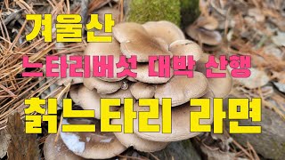 겨울산 느타리버섯 대박산행 후 멱는 칡느타리버섯 라면 맛과 향이 끝내줘요