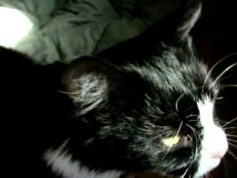 Zoya purring with gratitude