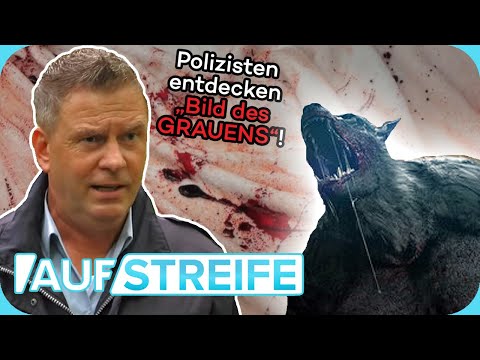 Gruseliger Horrorwald: Junge Frauen sind dem WERWOLFSMÖRDER auf den Fersen! | Auf Streife | SAT.1