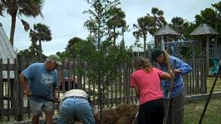 preview picture of video 'Apalachicola Tree Committee Live Oak Planting at Battery Park Playground 5 -1-13'