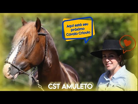 Cavalo Crioulo > CST Amuleto 