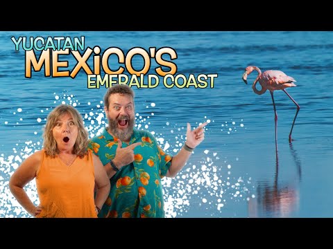 Exploring Yucatan's Emerald Coast: Flamingos, Pink Lagoons, and More!