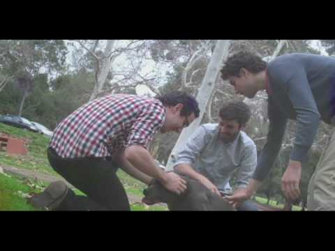 Tokyo Police Club - Breakneck Speed (Official Video)