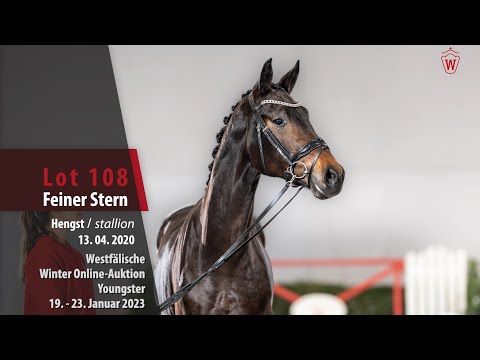Winter Online-Auktion Lot 108 Feiner Stern Hengst v. Feinrich - Bordeaux