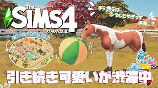 【シムズ4】#2 引き続き可愛いが渋滞中｜ＭＡＰ探索編【TheSims4】