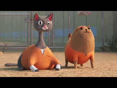 Ready player cat and dog