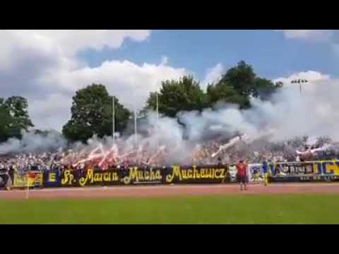 MUCHA CUP 2019 20.07.2019