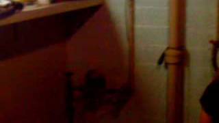 section party dying shirts