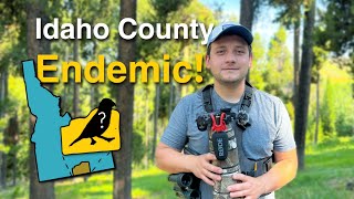 This Bird Can ONLY Be Found In A Single County In Idaho