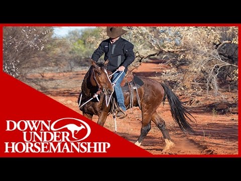 Clinton Anderson - Outback Adventure 10 of 14