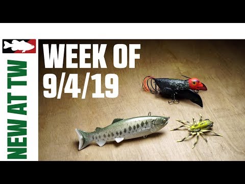 What's New at Tackle Warehouse w. Thomas Cochran - 9/4/19