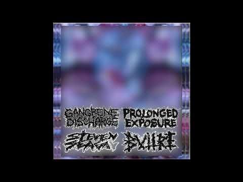 Gangrene Discharge / Prolonged Exposure / Steven Seagal / Buitre - 4 Ways Split (full split)
