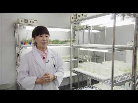 【福井県立大学】創造農学科　篠山 治恵 准教授