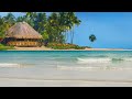 The Perfect Spot In Paradise Beach Screensaver That Will Brighten Any Room