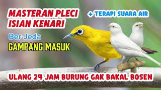 Download lagu MASTERAN PLECI   TERAPI AIR (nembak KENARI) mp3 Download lagu MASTERAN PLECI   TERAPI AIR (nembak KENARI) mp3