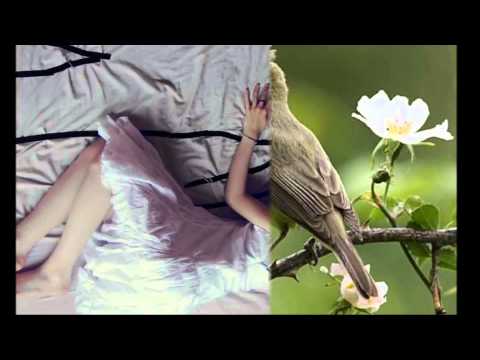 Quantu è grandi 'st'amuri