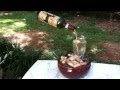 Wine Bottle Fountain 