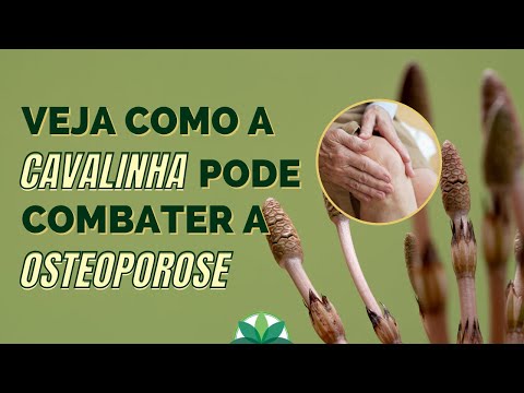 How to use horsetail to treat osteoporosis.