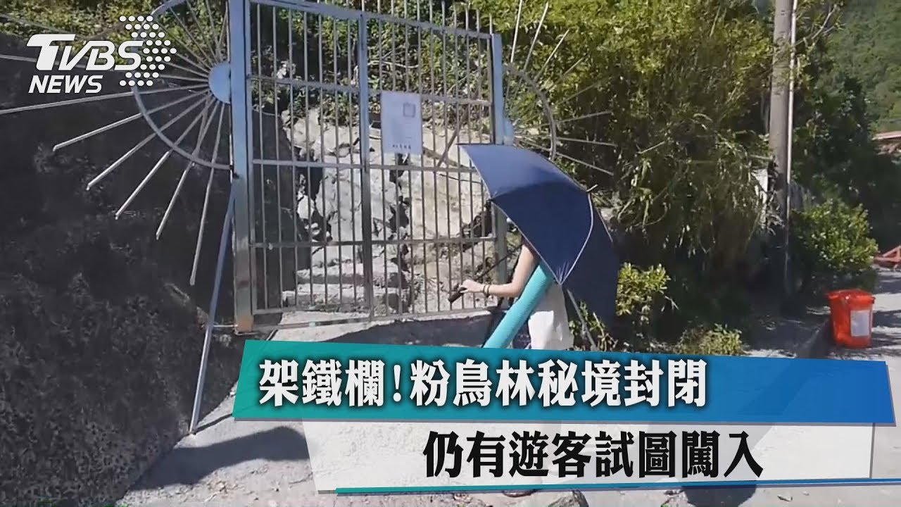 架鐵欄！粉鳥林秘境封閉　仍有遊客試圖闖入