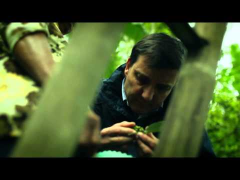 BombaySapphire Cubeb BotanicalStory HD