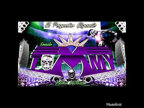 LA CUMBIA DE LA OSA LIMPIA SONIDO TOMMY ANTONIO MARTINEZ