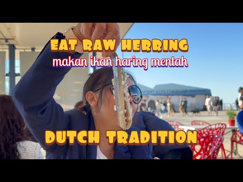 COMER PEIXE DE ARENQUE CRU - tradição holandesa - Makan ikan haring mentah