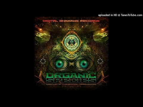 Axawaya - Dragon's Focus