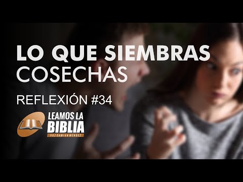 Lo que siembras cosechas | Devocional #34 | Leamos la Biblia