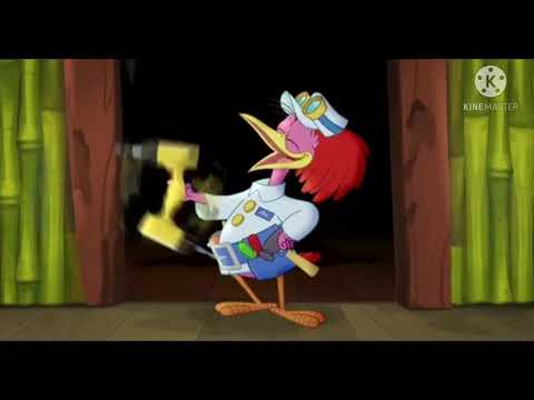 The Aracuan bird (For newly added Rascals)