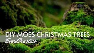 DIY Christmas Trees Part 1| Making Paper Cones | EverCrest